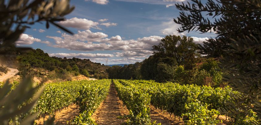 Valserrano, Vinedos y Bodegas de la Marquesa, Rioja DOCa