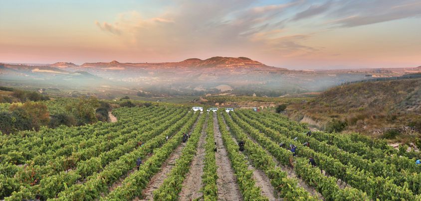 Valserrano, Vinedos y Bodegas de la Marquesa, Rioja DOCa