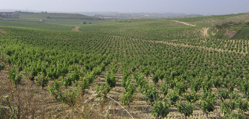 Valserrano, Vinedos y Bodegas de la Marquesa, Rioja DOCa