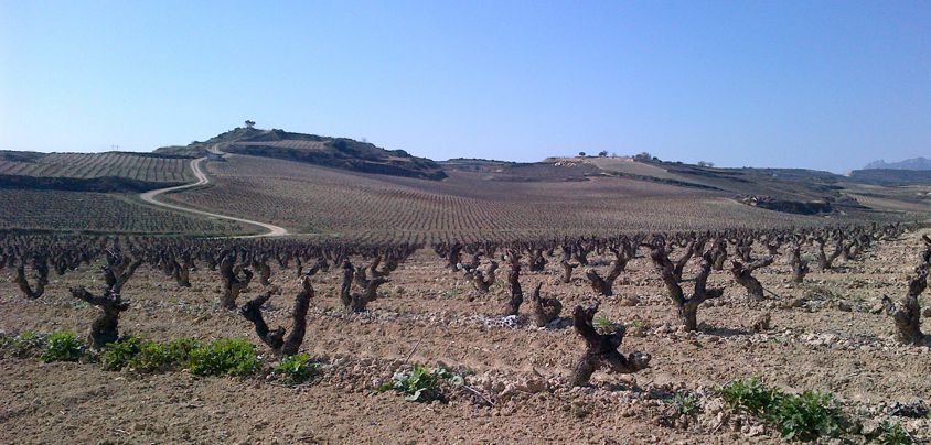 Valserrano, Vinedos y Bodegas de la Marquesa, Rioja DOCa